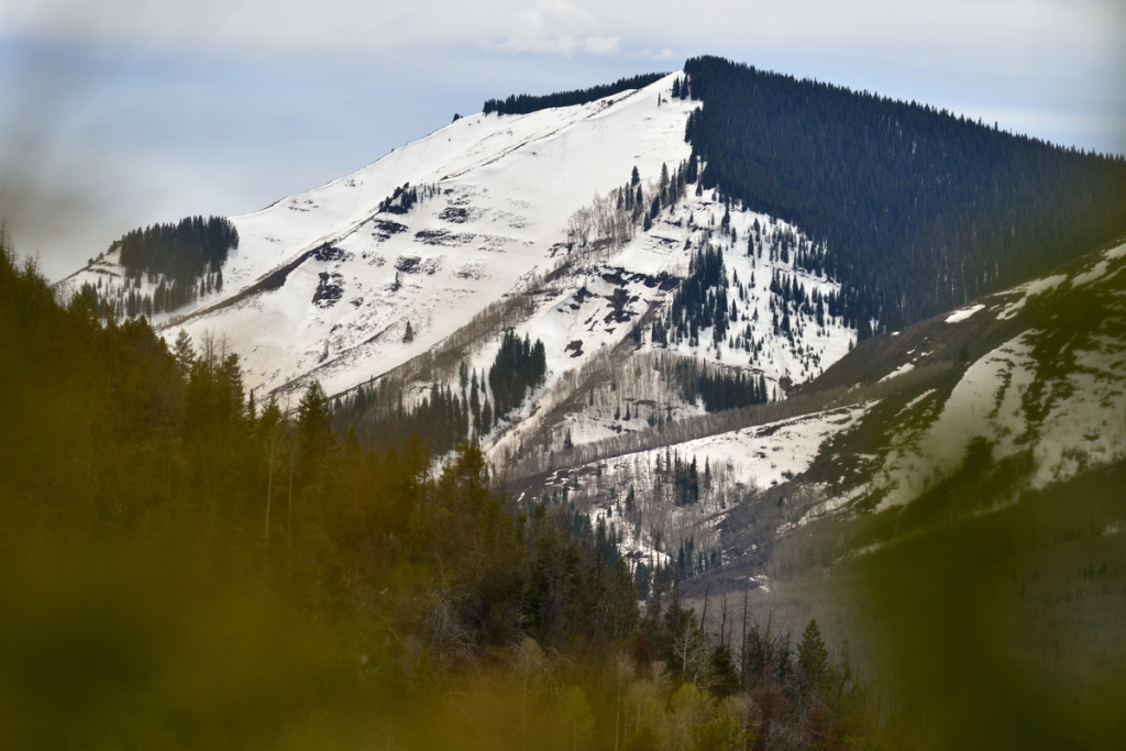 The Thompson Divide
